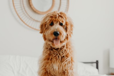 brooke cagle Ntm4C2lCWxQ unsplash v2